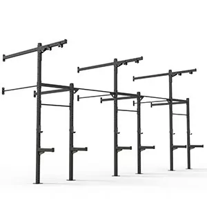 CROSS TRAINING FUNCTIONAL FITNESS RIG